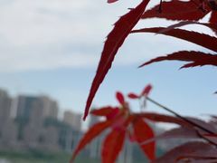 -滨江路