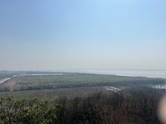 -海宁市观音寺