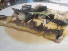 鲟龙鱼-天鹰观渔(梦园店)