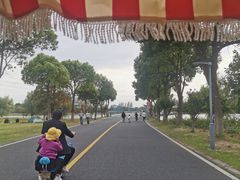 -漕湖湿地公园