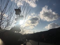 -喜家德虾仁水饺(开发区万达店)
