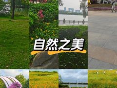 -海珠湖公园