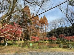 -杭州植物园