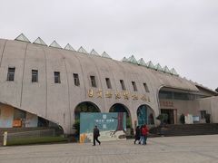 -自贡恐龙博物馆