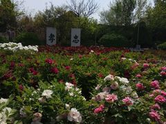 -戚继光故里