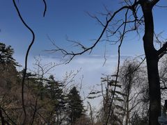 -秦岭天竺山景区