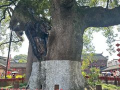 -新安江山水画廊风景区