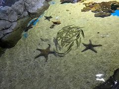 -多彩贵州城极地海洋世界