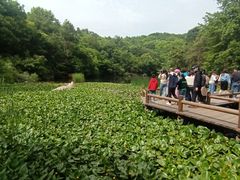 -天目湖山水园