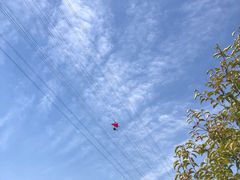 -古柏渡飞黄旅游区