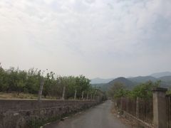 -阳台山自然风景区