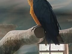 -石家庄市动物园