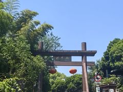 -十八棵（老龙井）御茶园(老龙井店)