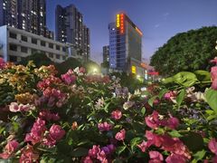 -广西壮族自治区博物馆