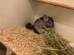 -龙猫仔乐园(惠福东路店)