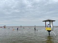 -碧海金沙