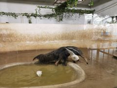 -石家庄市动物园