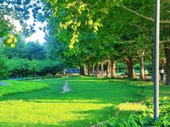 -朝阳公园游乐园