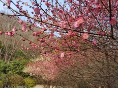 -南京市江宁方山