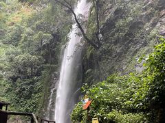 -莫里热带雨林景区