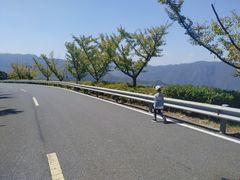-江南天池