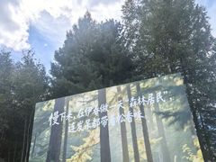 -汤旺河林海奇石景区