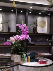 -御珠宫坊(壹海城ONEMALL店)