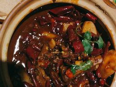 -福苗小骆驼烧烤(太奥广场店)