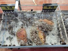 -海之鲜大排档(东山海鲜金銮湾店)