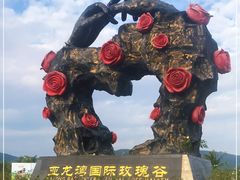 -亚龙湾国际玫瑰谷