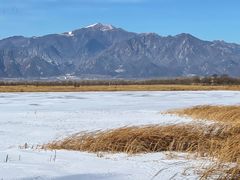 -野鸭湖国家湿地公园