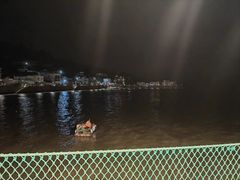 -胖大嫂渔家排档·全海景餐厅(渔村店)