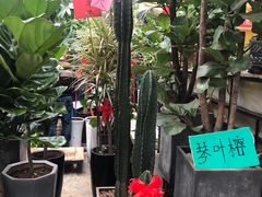 -秦美花卉(天朗·莱茵小城2期店)