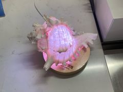 -青岛贝壳博物馆