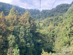 -青城山