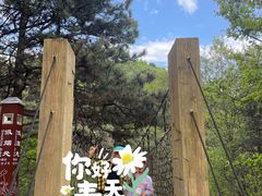 -黄龙山原始森林景区