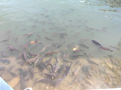 -宗角禄康公园