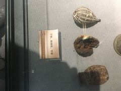 -新四军黄桥战役纪念馆(新馆)