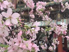 -宝墨园景区