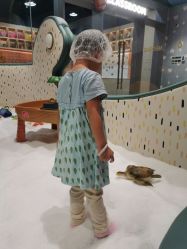 -奈尔宝家庭中心·亲子餐厅(北京东坝万达店)