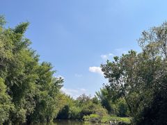 -会仙湿地