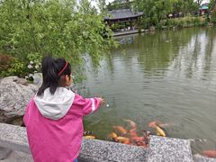 -南阳卧龙岗武侯祠