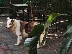 -豆舞咖啡(民乐路店)