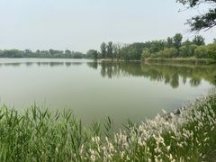 -翠湖国家城市湿地公园