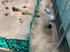 -羊亭河湿地公园