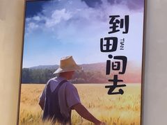 -杨厨的田园饭店(长城路店)