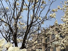 -张学良旧居陈列馆