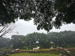 -广州长隆飞鸟乐园