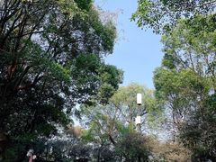 -岳麓山风景名胜区