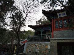 -香山公园